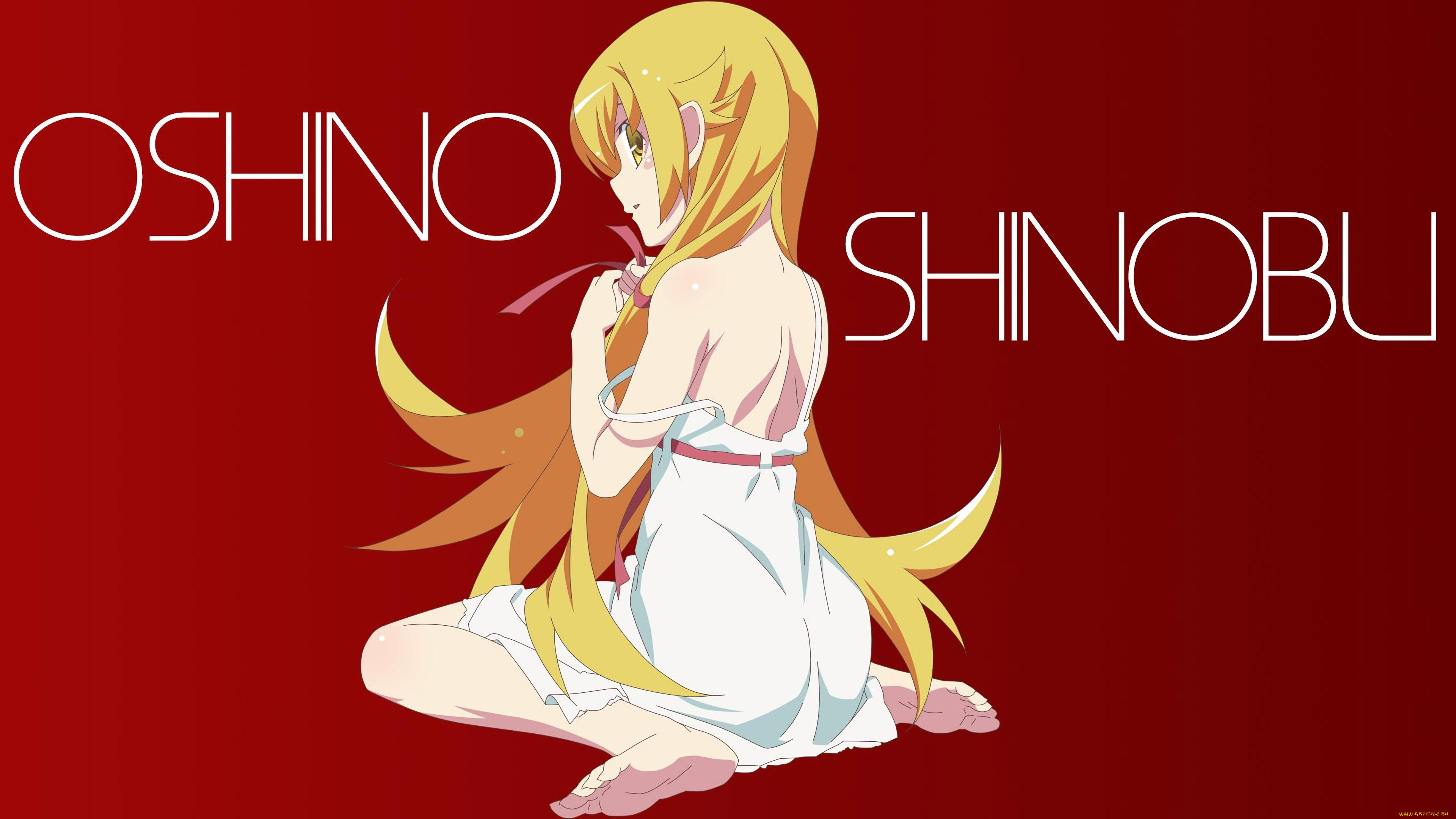 , bakemonogatari, , , 